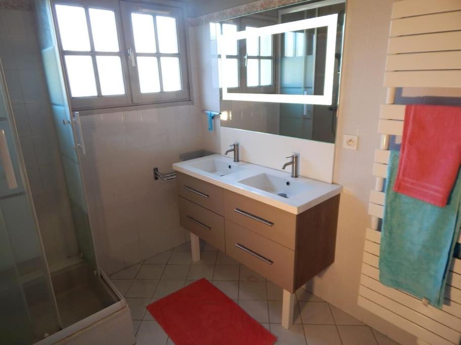 St Malo Maison Avec Jardin Proche Gare Plage Intramuros Chien Admis Parking Gratuit Saint-Malo Kültér fotó